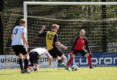 IMG_3454 (Large).JPG